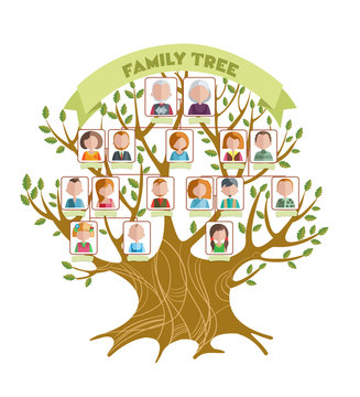 Family Tree Concept