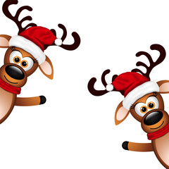 Two funny reindeer on a white background