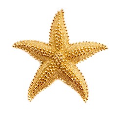 Star fish Pendant