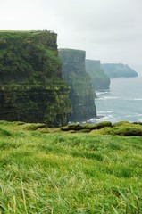 The Cliffs of Moher (Aillte an Moher) in County Clare, Ireland - obrazy, fototapety, plakaty