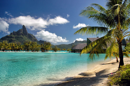 Serene Bora Bora beach scene, a South Pacific island with palm trees, green ocean and mountains background