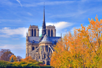 Cathédrale Notre-Dame de Paris en automne