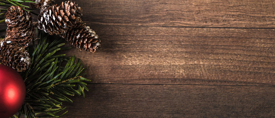 snowy cones and fir branch on a wood background