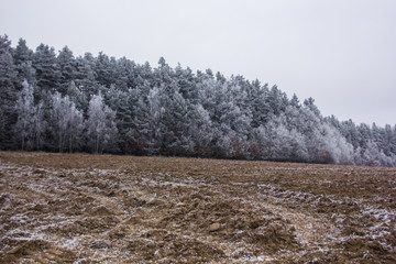 Winter in Czech Republic