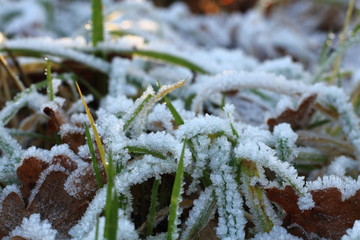 Väterchen Frost
