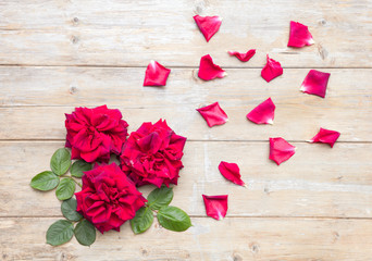 Top view of three red rose flowers with roses petals on a wood