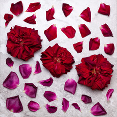 Big red rose flowers with rose petals on marble surface