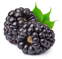 Group of two ripe blackberries with green leaves isolated on white background with clipping path