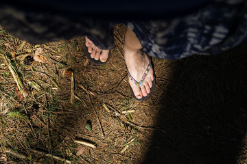 Walking in the woods. Slovakia