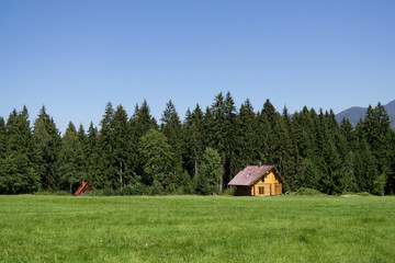 Challet on meadow. Slovakia