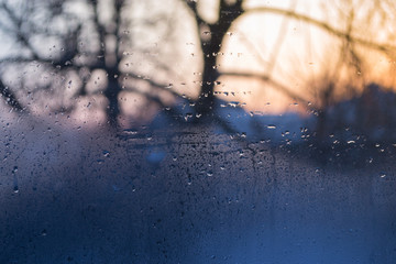 Wet the window in the morning sun