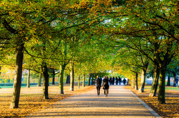 Autumn and people walking on a vibrant tree lined path in Greenwich, London