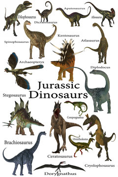 Jurassic Dinosaurs - This is a collection of various dinosaurs including carnivores, herbivores and flying reptiles that lived in the Jurassic Period.