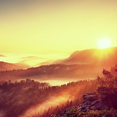 Fall morning mist. The sandstone cliff above treetops of forest