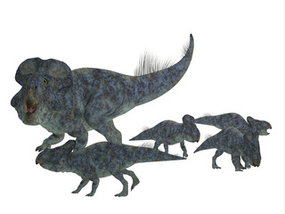 Protoceratops Mother with Offspring - Protoceratops was a herbivorous Ceratopsian dinosaur that lived in Mongolia in the Cretaceous Period.