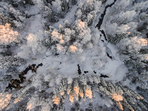 Snow covered forest at sunset, Finland 