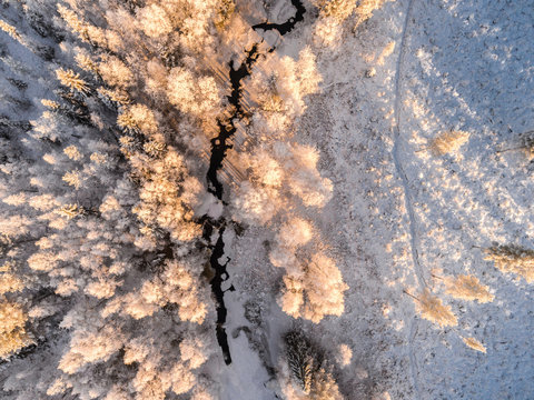 Snow covered trees and frozen river at sunset, Finland 