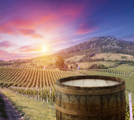 Red wine with barrel on vineyard in green Tuscany, Italy