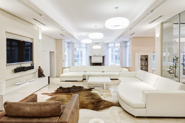 Big and comfortable living room