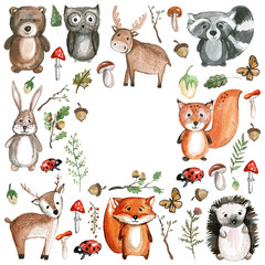 Cute woodland animals Watercolor images Kindergarten zoo icons