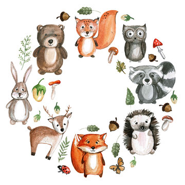 Cute woodland animals Watercolor images Kindergarten zoo icons