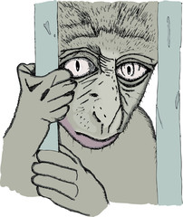 An Illustrated monkey in a zoo