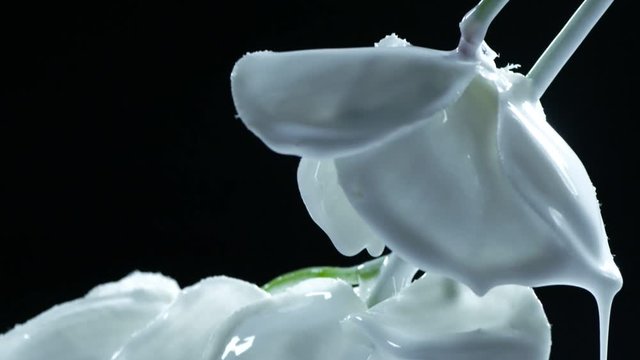 Paint splash on the flower petals
