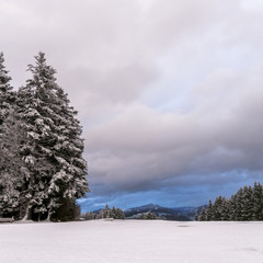 Schneelandschaft am Sulzberg