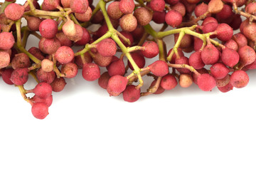 Zanthoxylum Limonella Alston., Condiment northern Thailand and traditional medicine for the treatment of various types.