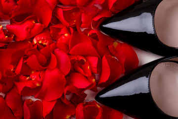 Red petals around black shoes.Glossy female shoes. Create romantic atmosphere.