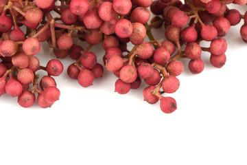 Zanthoxylum Limonella Alston., Condiment northern Thailand and traditional medicine for the treatment of various types.
