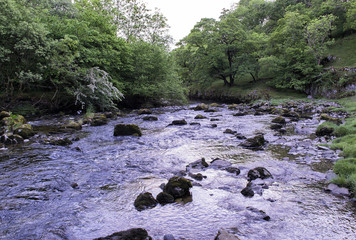 Purple River