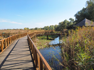wooden bridge in Kopacvo Baranja