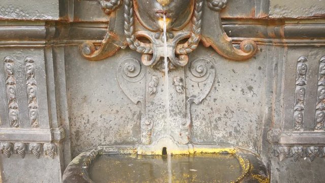drinking fountain at botanical garden of Rio de Janeiro