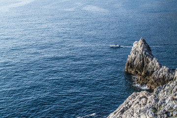 Cruise travelling on the open sea durin summer © Emilia