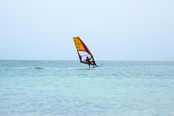 Windsurfer at Aruba island on the Caribbean Sea