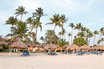 Palm trees, grass umbrellas and beach chairs on the beach at Aru