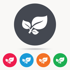 Leaf icon. Fresh organic product symbol. Colored circle buttons with flat web icon. Vector