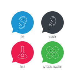 Colored speech bubbles. Lab bulb, medical plaster and ear icons. Kidney linear sign. Flat web buttons with linear icons. Vector
