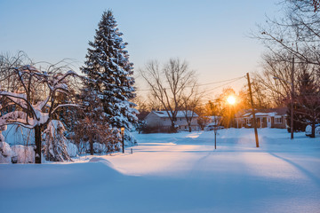Morning Snow in Neighborhood