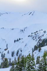 winter landscape.  winter background. mountains at winter