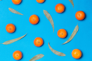 Christmas composition. Mixed fresh citrus fruits and eucaliptus leaves on blue background Flat lay, top view