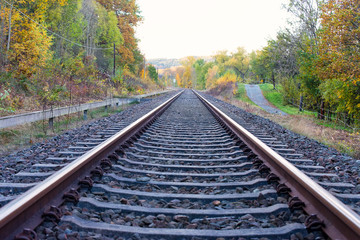 Fototapeta na wymiar The railway track through the wood in Autumn