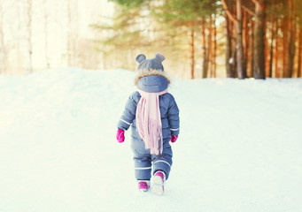 Silhouette of a little child walking in the forest at winter day