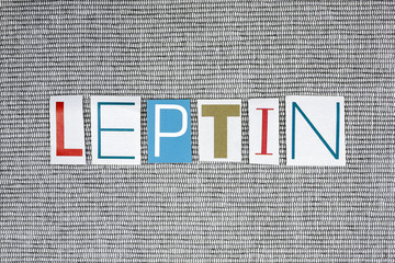 leptin word on grey background, medical concept