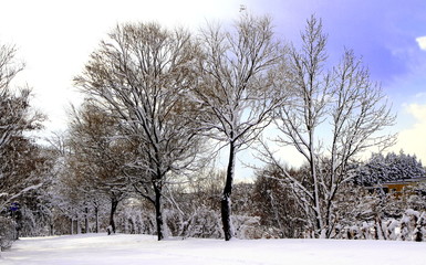 Fototapeta premium Promenade of Sapporo suburbs of snow.Banks of the River Nopporo