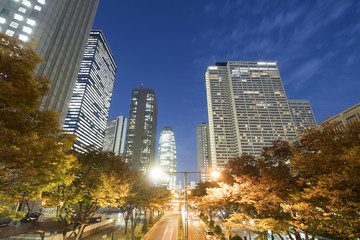 Obraz premium 新宿高層ビル街 夜景 西新宿 中央通り ビルの窓明かり 高層ビル 