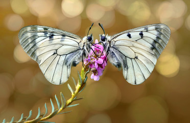 500px Photo ID: 160377275