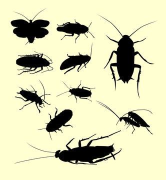 Cockroach insect animal silhouette. Good use for symbol, logo, web icon, mascot, sign, sticker, or any design you want.