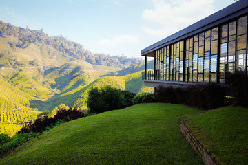 Viewpoint on the top of cameron highland, tea valley and sunrise in Malaysia